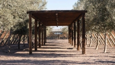 Bodegas e Oliv&iacute;cola